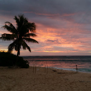 Meet your Posher, Kelley